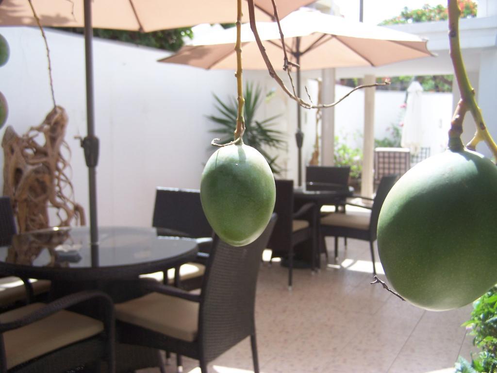 Villa Mermoz Dakar Exterior photo